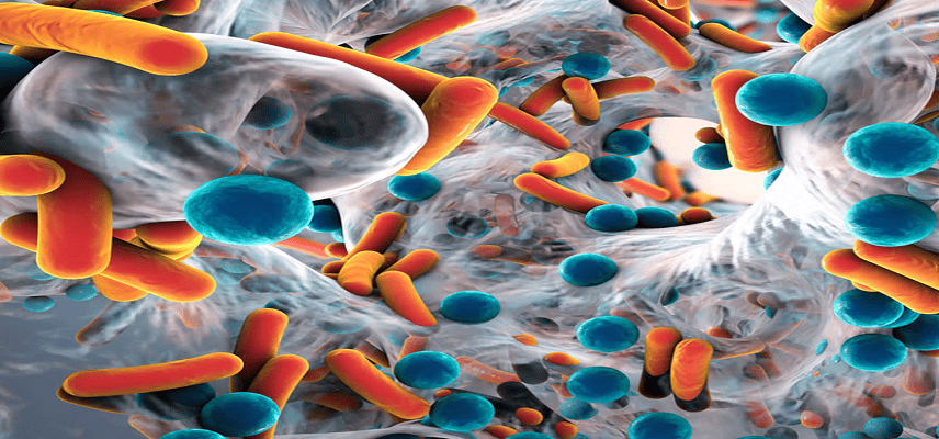 LISCure Gets Clearance to Start Phase 2 Trial for LB-P8
